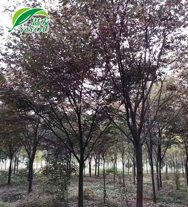 高效送風(fēng)口